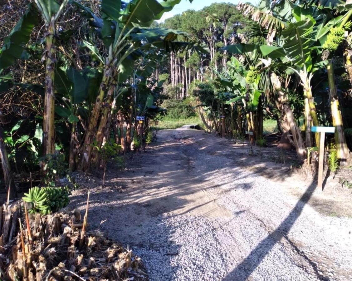 Bangalo Natureza Villa Florianópolis